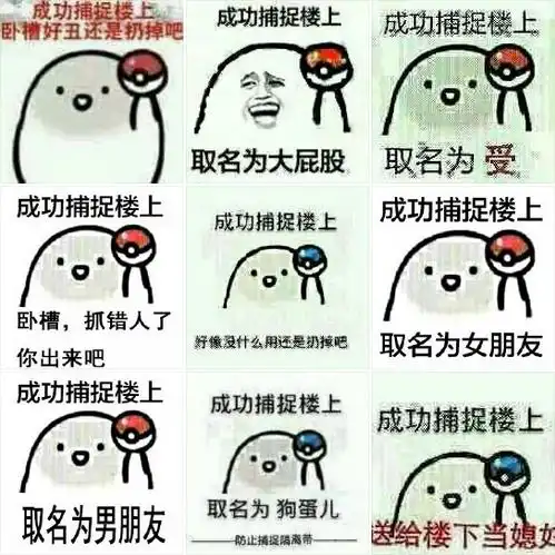 win表情包楼楼