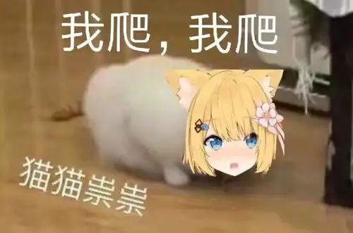  花园猫表情包第一期