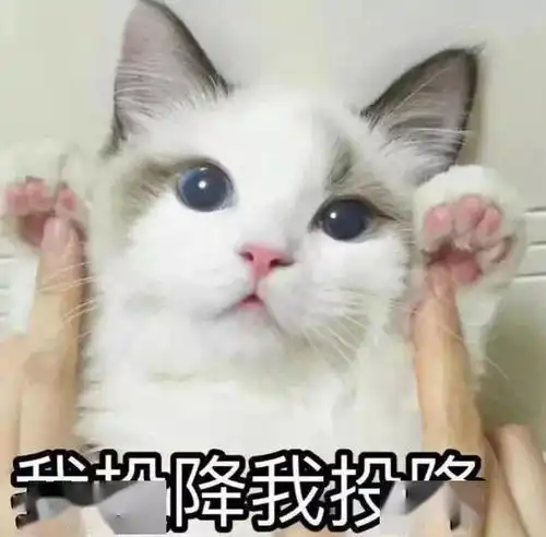  降雨降温马上到吉林省局地有暴雨