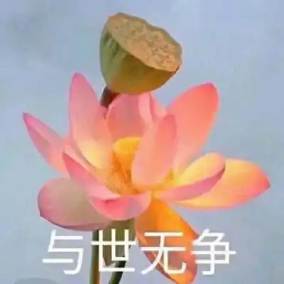 佛系图片表情包