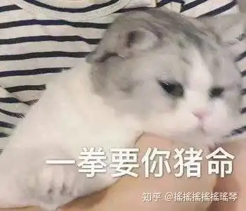  有哪些可爱的高糊小动物表情包