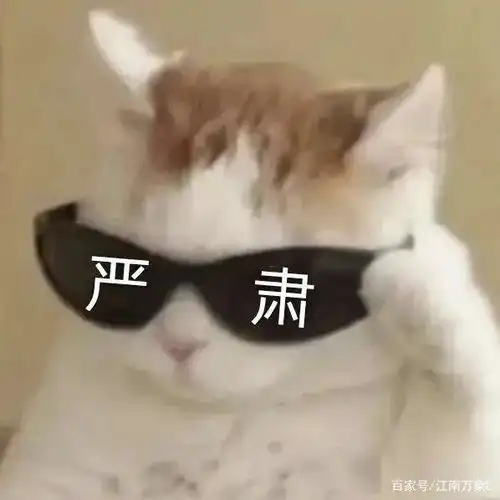 胖虎表情包无字沙雕
