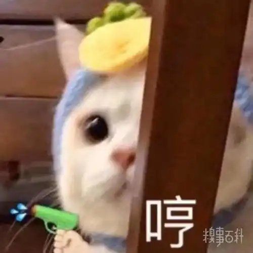 老实人表情包高清