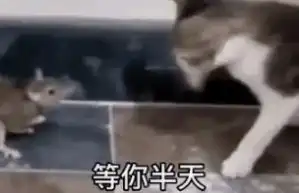  等你半天你也只回了恩动图下载等你半天你也只回了个恩我也想秒回你可你让我说什么表情包动图高清抖音版下载v1.0嗨客手机站