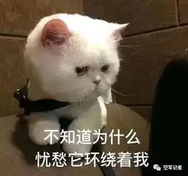  你还在为洁牙感到困扰吗