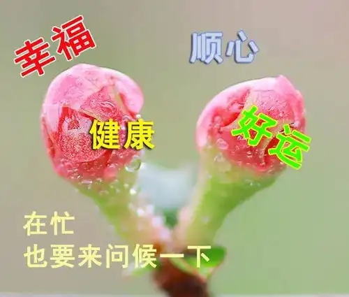  夏季早上好动图表情包图片带字,特别漂亮的早上好图片带问候语