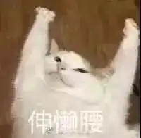  体测来袭,感受到恐惧了吗