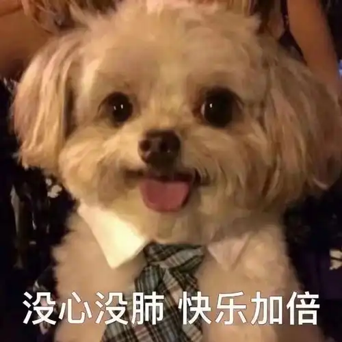  娱乐向男女主眼中的对方轻微剧透just玩梗