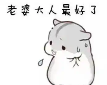  哄老婆表情包老婆大人对不起好喜欢老婆我老婆超级可爱
