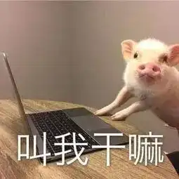  二师兄有救了国产非洲猪瘟疫苗已在路上