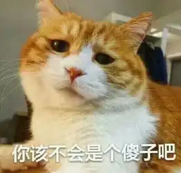  求问这只一脸悲伤的表情包的猫的名字