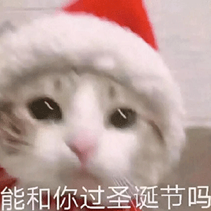  表情包你的绿帽子掉了