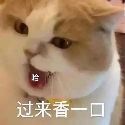  沙雕表情包你别过来我怕猪