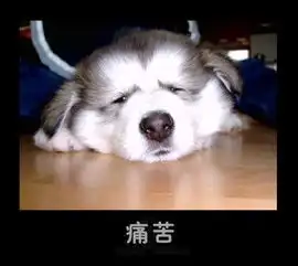  鼻子塌,怎么整才完美