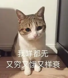 微信里捏胸那个表情包今