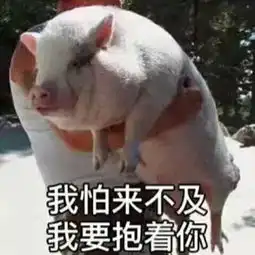 奶油猪kmall表情包海难