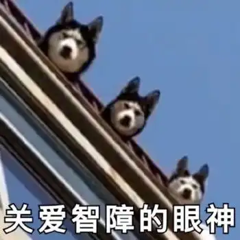 这是一个放送的专栏65狗砸2