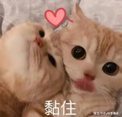  表白总是被拒绝,教你两招表达方法,女神主动叫你老公