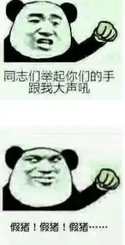  假猪套天下第一是什么意思的梗dnf假猪套怎么做属性材料搭配