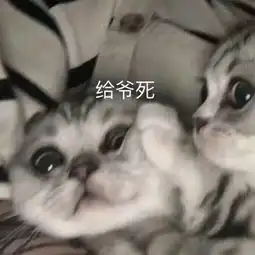  说一个很心痛的事情给你们乐一下