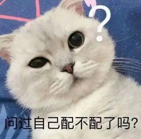 表情包你配吗顾魏
