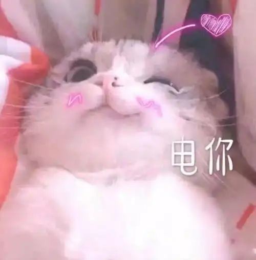  今天全省升温14,风还小,不过空气质量