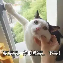 壁纸头像生活已经这么难了,人生需要欢乐so来一波表情包嘿嘿