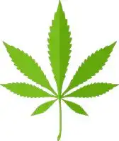  聚会上有人递来了一根烟卷,这个美国party高频助兴小物你是否心中有数
