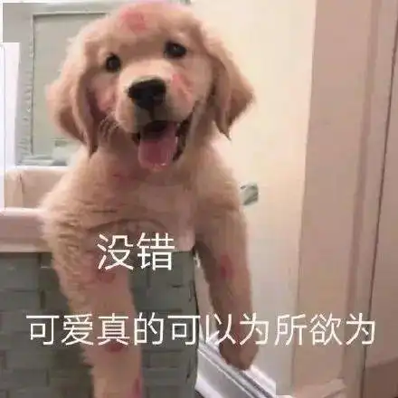 沙雕表情包配文朋友圈