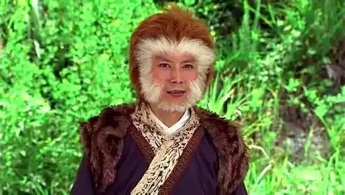 峨眉山的猴子表情包洪椿