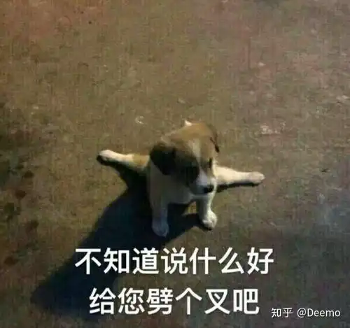  小楼一夜听春雨,深巷明朝卖杏花是什么意思
