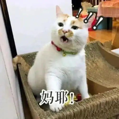  孟津教育的个人展示页