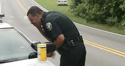  美洲羊驼吐口水侮辱警察警察尴尬无语