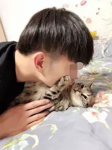  男子按住猫咪想亲一口,没想到才低头凑近,猫咪的表情瞬间变了