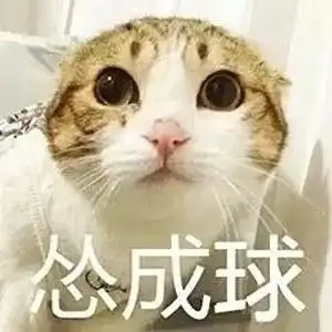  韩影近年最激情的吻戏我觉得还差点