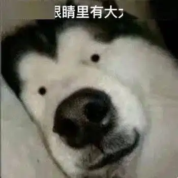  这么多年了,牛奶和豆浆的恩怨终于有结果了