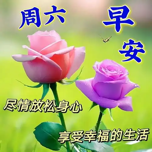  6月22日周六早上好祝福语美图合集愿世间所有的幸运和福气,都能如约而至,早安