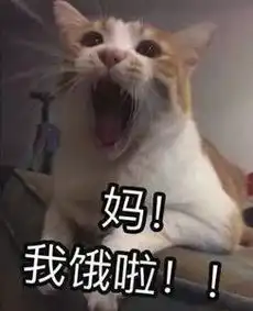 为鹿特丹龙虾节疯狂打call整只鲜活现烹龙虾高浓龙虾汤只要38.5
