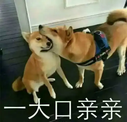  一大口亲亲来袭,喵半张脸都要被咬掉了