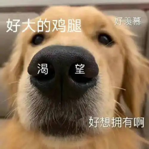  韩国娱乐圈又出无语大事件了容貌身体焦虑,怎么破