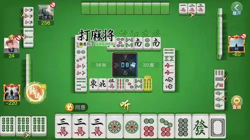  麻将小麻将解心宽三缺一全体集合了