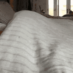  刚才你还说只看看不吃的