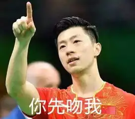  别争了张继科是马龙的