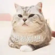  武陵公安查处一起不履行违法信息处置义务案