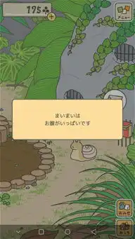  玩青蛙旅行,这个什么意思,求翻译