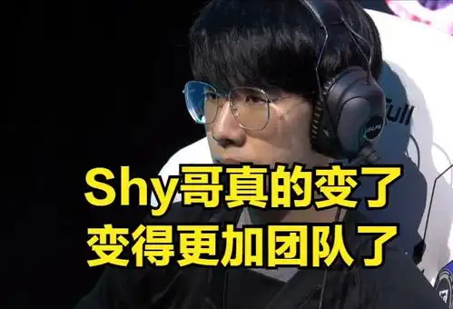 edg教练明凯wbg战队很团队,theshy从打线变成了进野区