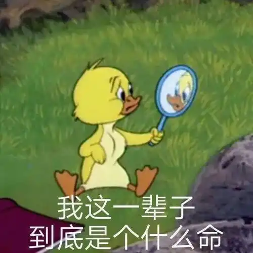 大曾老师的漫画和打油诗