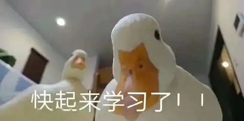  马士基约260个集装箱落水欧洲两大港口合并
