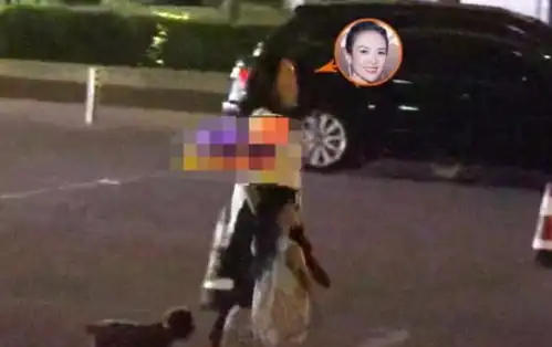  塑料姐妹情章子怡惋惜宋慧乔离婚,当晚和刘芸聚会狂欢