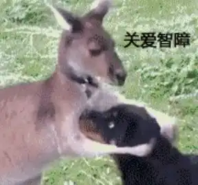  大二学生对javascript的理解,什么你竟然不爱javascript快来和我battle